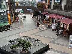 -颜氏双江清水鱼一养身火锅(磁器口店)