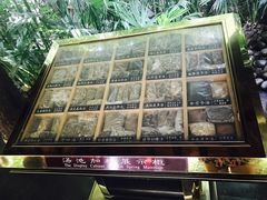 -西安国际创新人才交流中心•药浴温泉