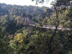 -九龙江国家森林公园