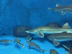 -多彩贵州城极地海洋世界