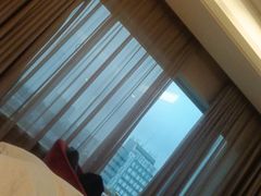 -南京维景国际大酒店(南京博物院店)