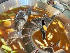 -姥家大锅台水库渔家