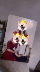 -韩慕婚纱摄影(九亭店)