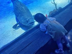 -沈阳海洋探索中心