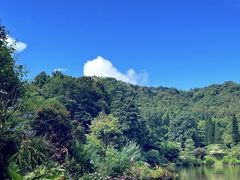 -深圳仙湖植物园