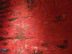 -青年公社烤鸭(肇嘉浜路店)