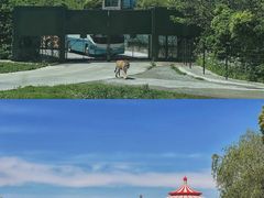 -上海野生动物园