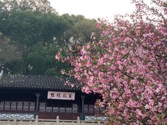 -苏州上方山国家森林公园