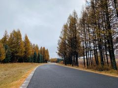 -塞罕坝国家级自然保护区