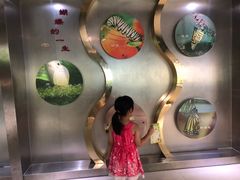 -上海昆虫博物馆