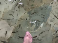 -天目湖涵田半山温泉