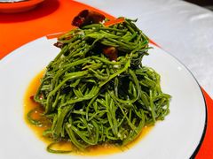 -巴依老爷新疆美食(常营店)