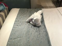 -常州环球恐龙城维景国际大酒店