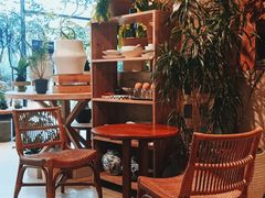 -自由生长植物工作室(深港花卉中心店)