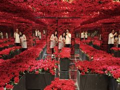 -成都梵高星空艺术馆(春熙路旗舰店)