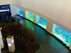 -上海长江河口科技馆