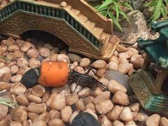 -上海昆虫博物馆