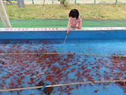 -萌宠亲子动物乐园(槐房万达店)