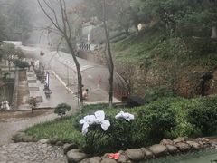 -三江森林温泉度假区