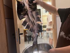 -小团圆灶台鱼·百城头牌菜(千岛湖店)