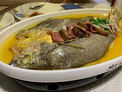 鸡汁葱油蒸生态黄鱼-桃花印巷江南小馆(朝阳路店)
