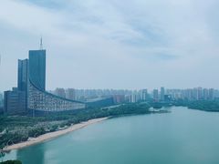 -天鹅湖体育公园