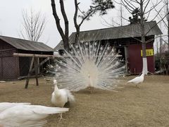 -武汉园博园(武汉自然博物馆)