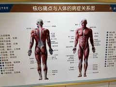 -通透堂中医·精准推拿(旗舰店)