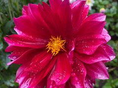 -崇圣寺三塔文化旅游区