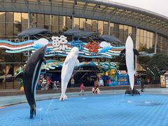 -海合安成都极地海洋公园