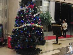 -维也纳酒店(深圳大学城店)