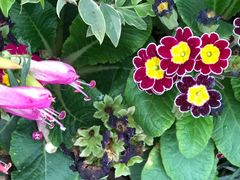 -国家植物园南园