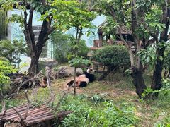 -南宁市动物园