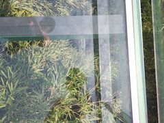 -陶祖圣境风景区