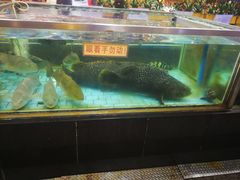 -渔民新村(番禺总店)