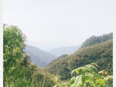 -四明山国家森林公园