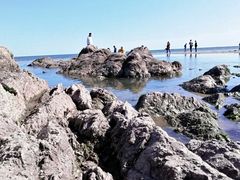 -山海关风景区-售票处