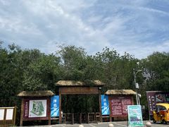 -西青郊野公园
