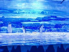 -大连老虎滩海洋公园