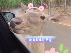-秦皇岛野生动物园