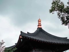 -广富林郊野公园