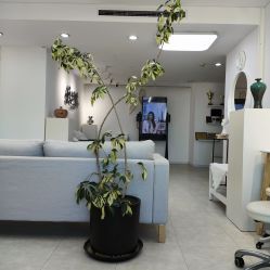 -ManiQ 美甲美睫專門店