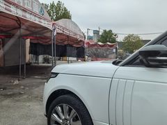 -老窦肥肠板面