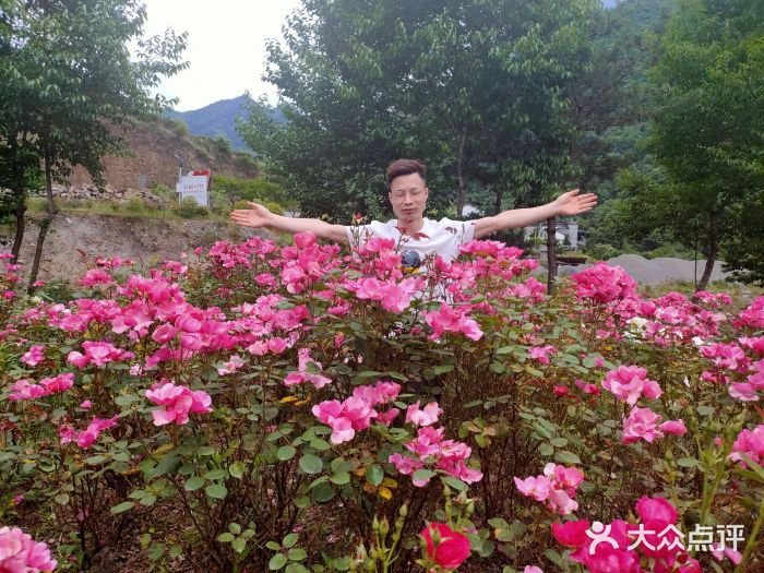 镇坪县曙坪小学图片