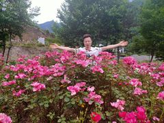 -镇坪县曙坪小学