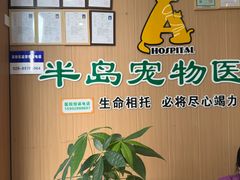 -半岛宠物医院24小时·内窥镜·牙科·碎石中心(府城大道店)