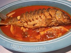 -阿五黄河大鲤鱼(英协路店)