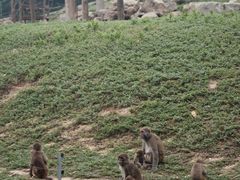-石家庄极地海洋世界