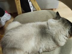 -白兔子密室(长寿路店)