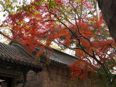 -青岛崂山太清宫